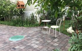 Рукавичка